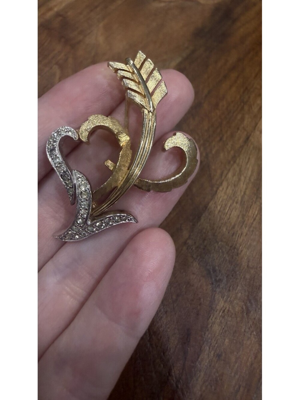polcini brooch